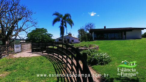 VAI ATE MANGUEIRA OVELHAS.00_01_17_09.Quadro017_de37a9cddb4acb4ec7201cb2bd0b070440af6136.jpg